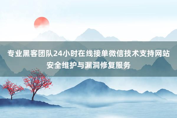 专业黑客团队24小时在线接单微信技术支持网站安全维护与漏洞修复服务