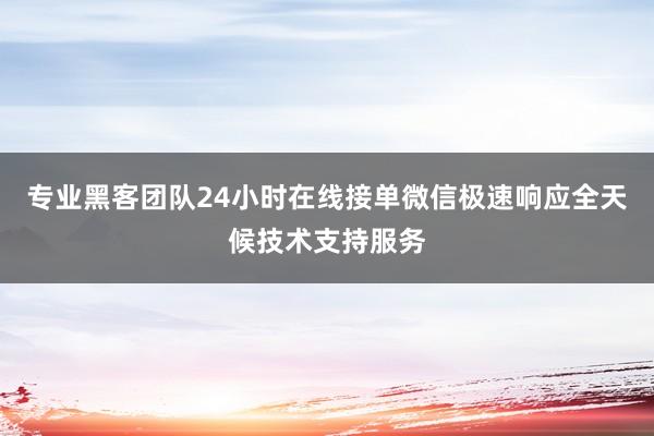 专业黑客团队24小时在线接单微信极速响应全天候技术支持服务