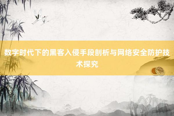 数字时代下的黑客入侵手段剖析与网络安全防护技术探究