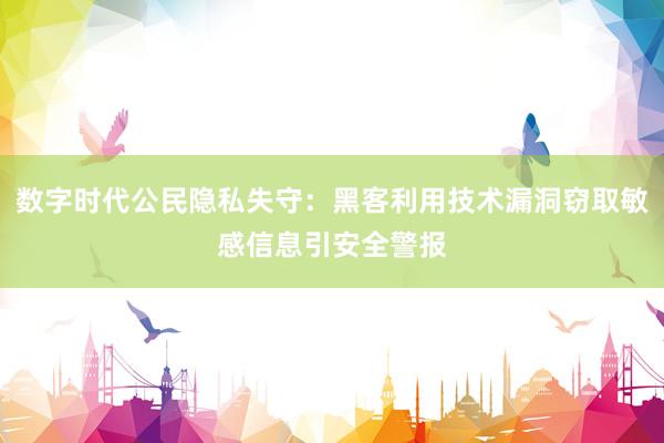 数字时代公民隐私失守：黑客利用技术漏洞窃取敏感信息引安全警报