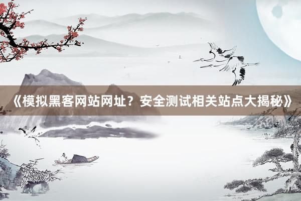 《模拟黑客网站网址？安全测试相关站点大揭秘》